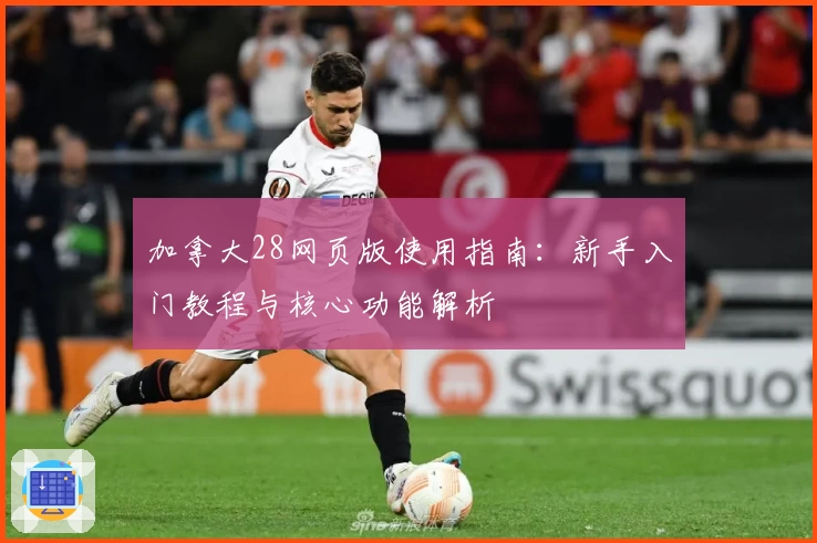 加拿大28网页版使用指南：新手入门教程与核心功能解析