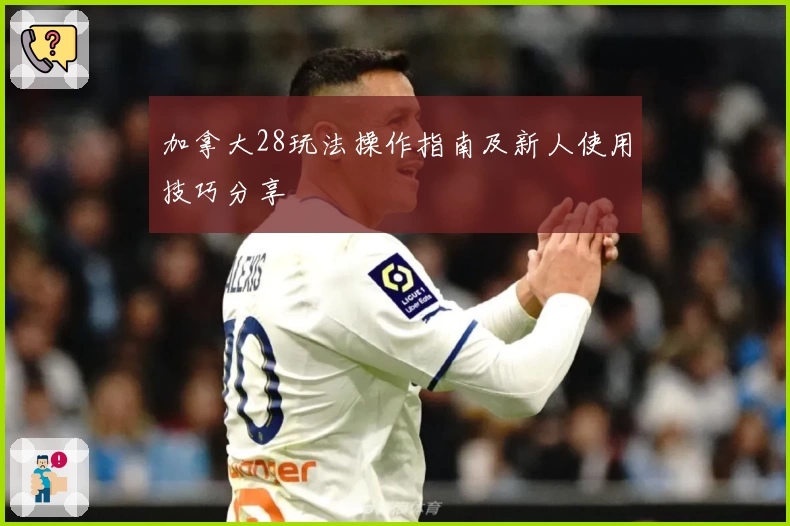 加拿大28玩法操作指南及新人使用技巧分享