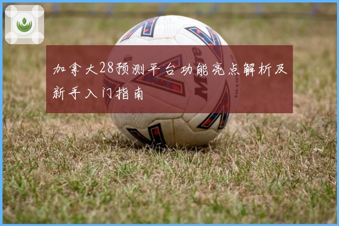 加拿大28预测平台功能亮点解析及新手入门指南