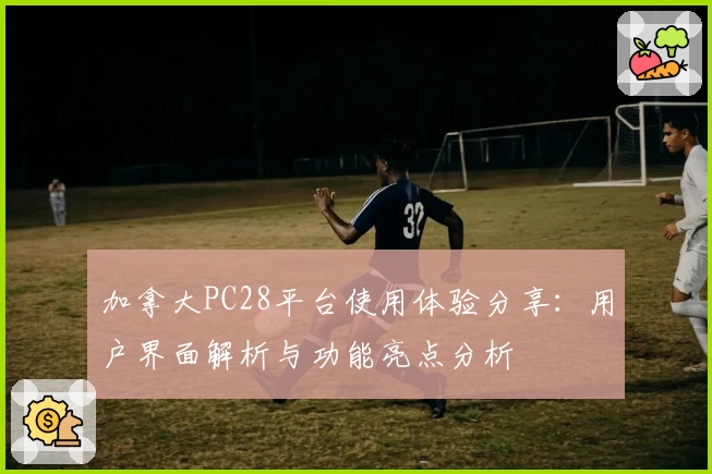 加拿大PC28平台使用体验分享：用户界面解析与功能亮点分析