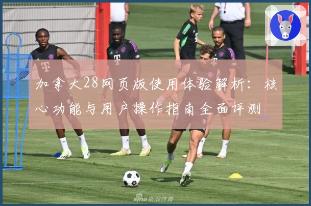加拿大28网页版使用体验解析：核心功能与用户操作指南全面评测
