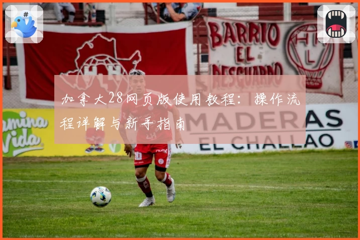 加拿大28网页版使用教程：操作流程详解与新手指南
