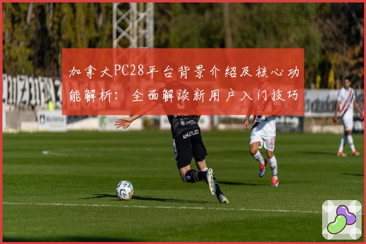 加拿大PC28平台背景介绍及核心功能解析：全面解读新用户入门技巧与操作体验