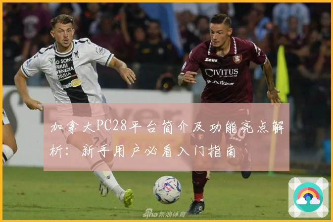 加拿大PC28平台简介及功能亮点解析：新手用户必看入门指南