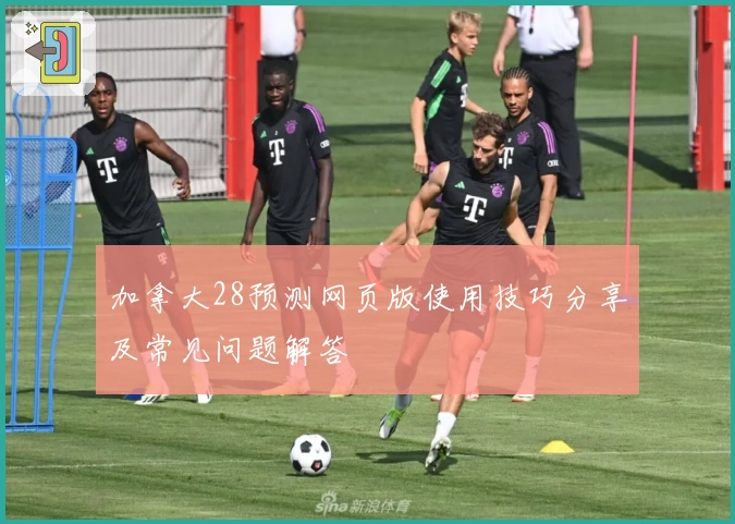 加拿大28预测网页版使用技巧分享及常见问题解答