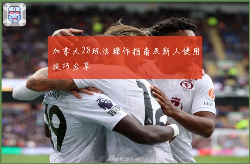 加拿大28玩法操作指南及新人使用技巧分享