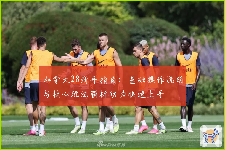 加拿大28新手指南：基础操作说明与核心玩法解析助力快速上手