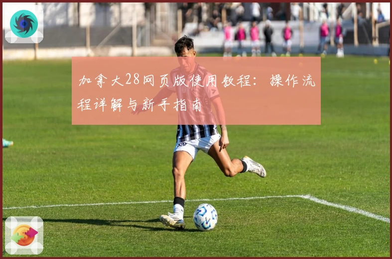 加拿大28网页版使用教程：操作流程详解与新手指南